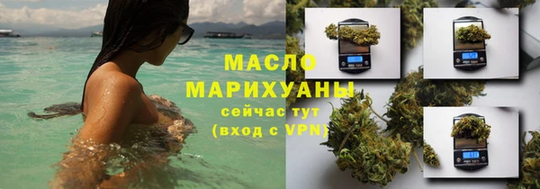 молекула духа Елабуга