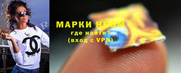 индика Елизово