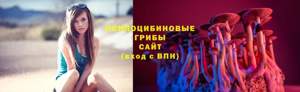 молекула духа Елабуга