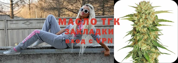 индика Елизово