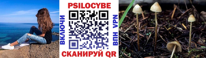 Псилоцибиновые грибы Cubensis гидра как зайти Кинель