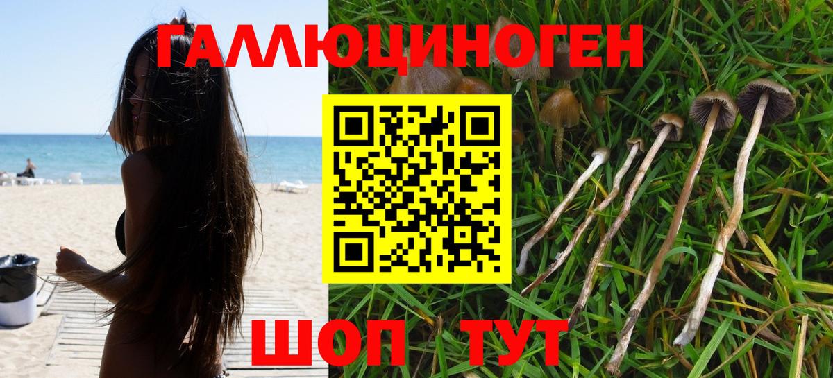 Галлюциногенные грибы мицелий Кинель
